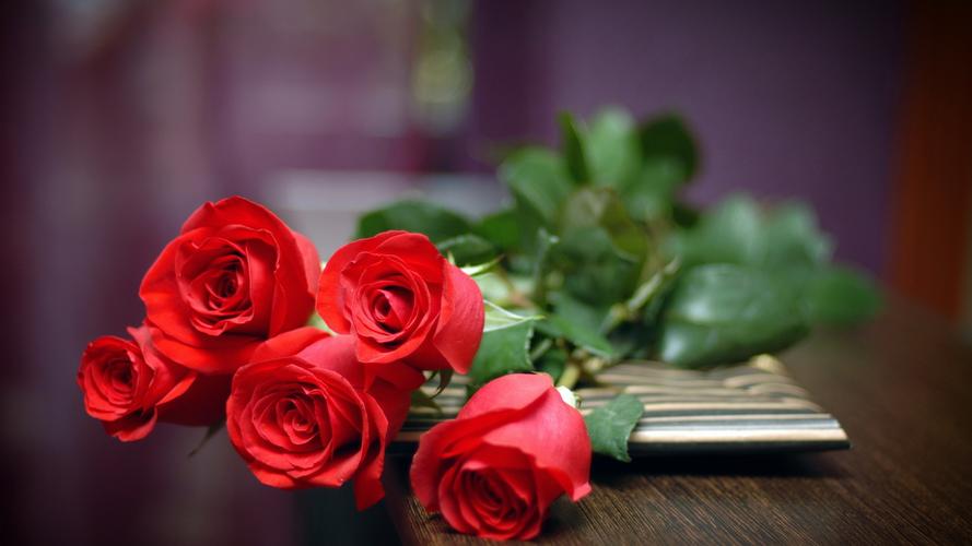 爱的礼物五支红玫瑰花