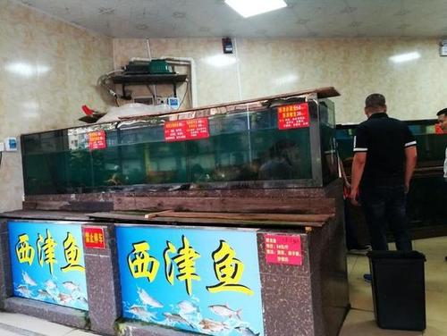 原创只卖生态鱼土鸡鸭这就是西津生态鱼生馆火爆的理由
