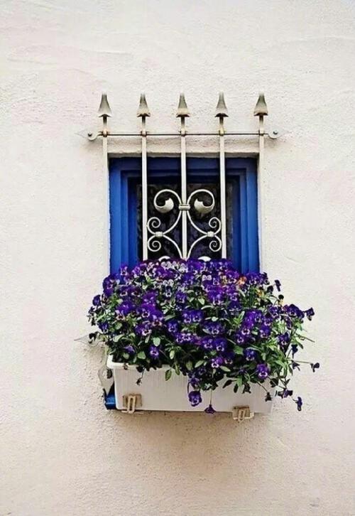 喜欢德国小镇里这样的阳台爱花的德国人把花都栽种在临街窗户的外面