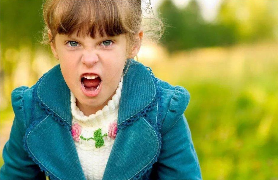 胆汁质的孩子火爆易怒训练控制情绪能力是关键别再硬碰硬