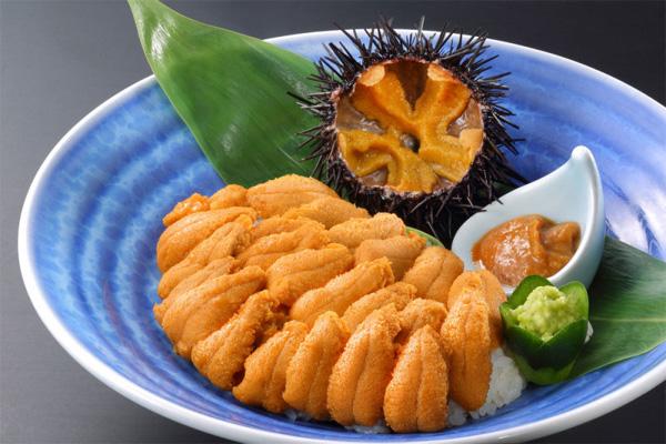 日式料理中有哪些美食关于海胆的7个冷知识你知道吗