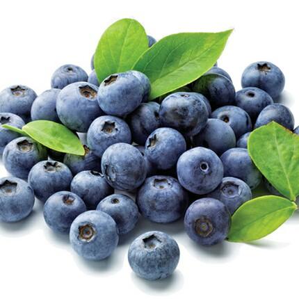新鲜蓝莓免洗蓝霉李果国产代购鲜果