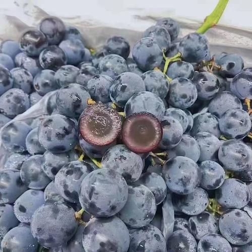 蓝莓葡萄