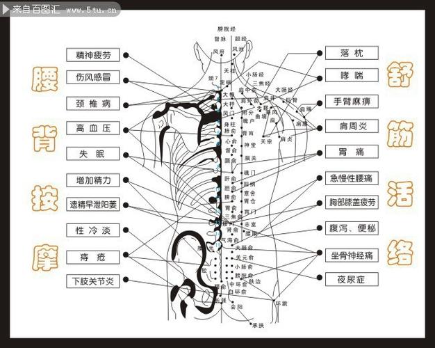 腰部按摩脉络图解主题为脉络可用作经络按摩穴位腰部穴位穴位