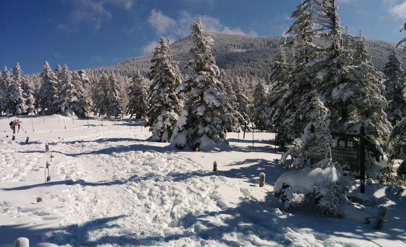 冬季高山雪地景物图片1920x1200分辨率下载冬季高山雪地景物图片图