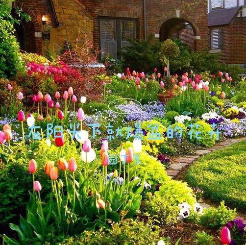 这样选择花卉让你的庭院充满生机