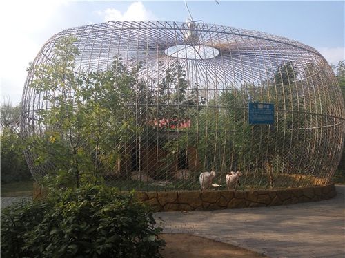 关于野生动物园动物笼舍设计的建议