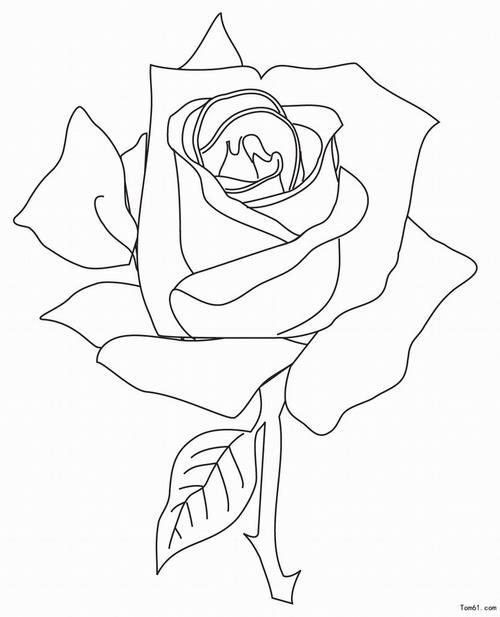 玫瑰花图片简笔画手绘玫瑰花图片简笔画