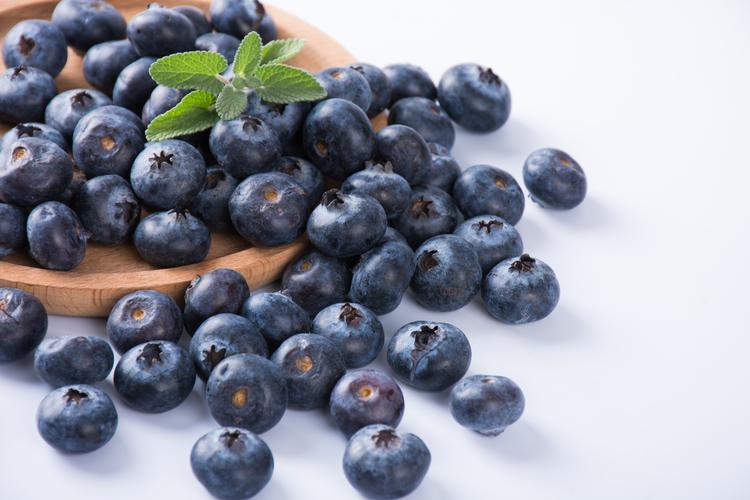 蓝莓一种小浆果果实呈蓝色色泽美丽蓝色被1层白色果粉包裹果肉