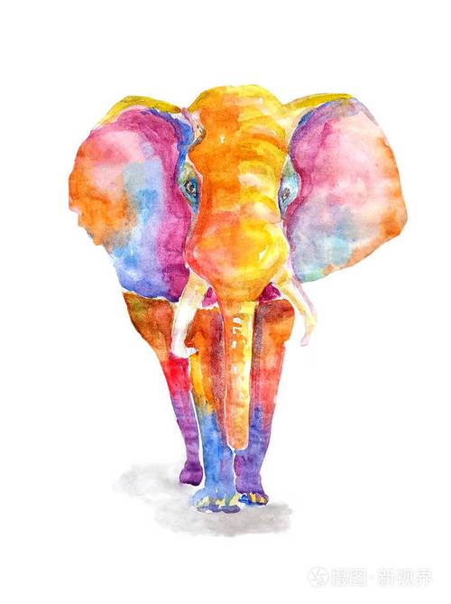 白色背景上的彩色大象水彩画彩虹鲜艳五彩大成体哺乳动物插图