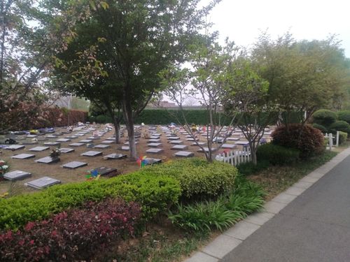 清明节前探访郑州墓园19万的墓地有绿化过道占地4平方米左右