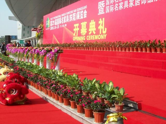 东莞舞台美化绿色植物提供13580855818东莞鸿运礼仪公司
