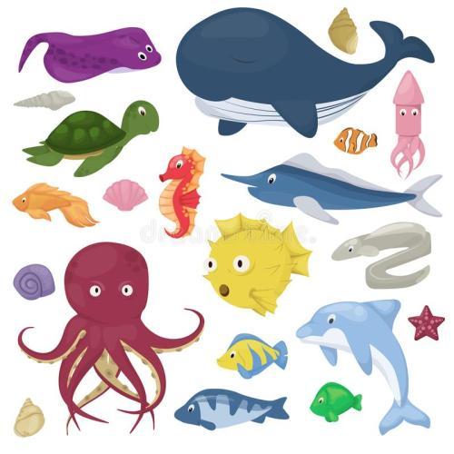 海洋动物简笔画鱼彩色