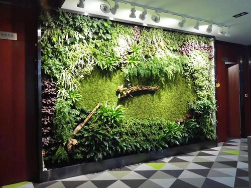 室内植物墙是在迎合人们生存环境的基础上来营建的植物墙首要的既定