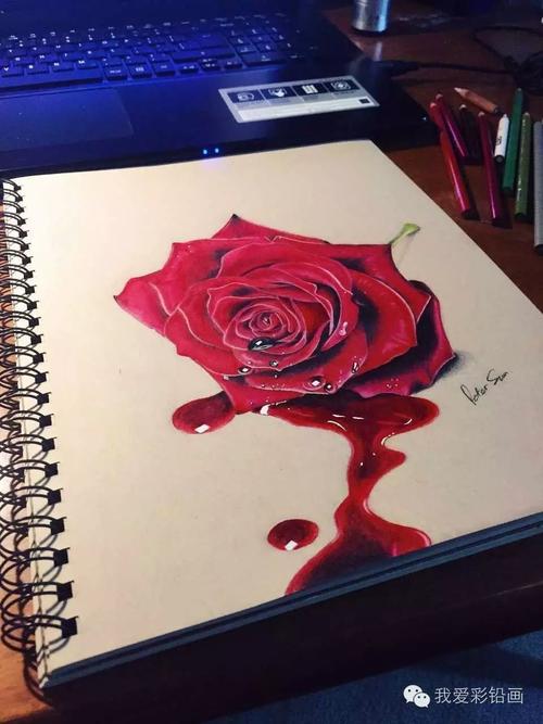 彩铅作品《血玫瑰》美得慑人心魄素描教程绘画学院零二七