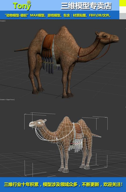 骆驼动物精细模型3dmx制作
