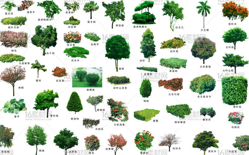 关键词绿色植物植物素材树木乔木树木分层素材苗木自然景观建筑园林
