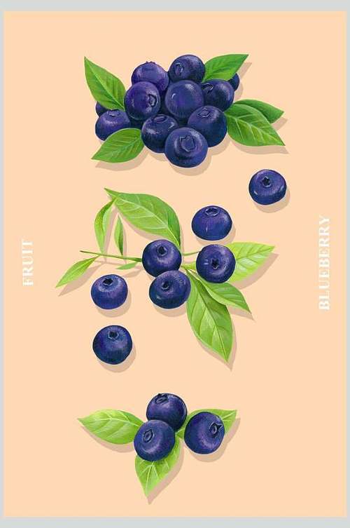 蓝莓水果切开切面插画