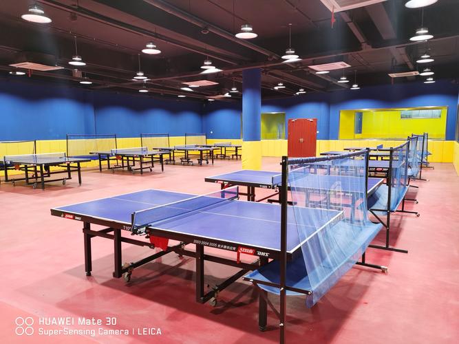 奥体中心乒乓球馆本周六11日举办迎新春乒乓球比赛含秩序册