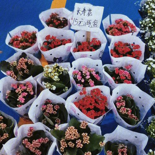 昆明斗南花卉市场