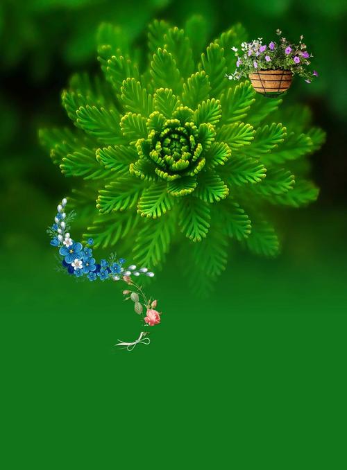 绿色植物背景海报