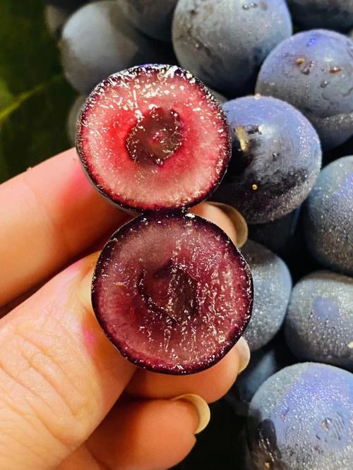 蓝莓葡萄新鲜上市