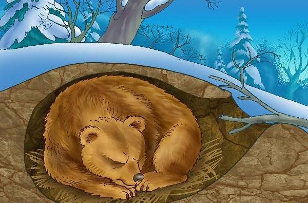 冬天冬眠的动物有哪些全部蛇熊等分主动被动两种