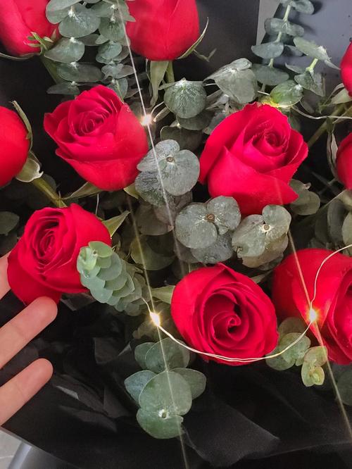 情人节怎么能少了玫瑰花呢