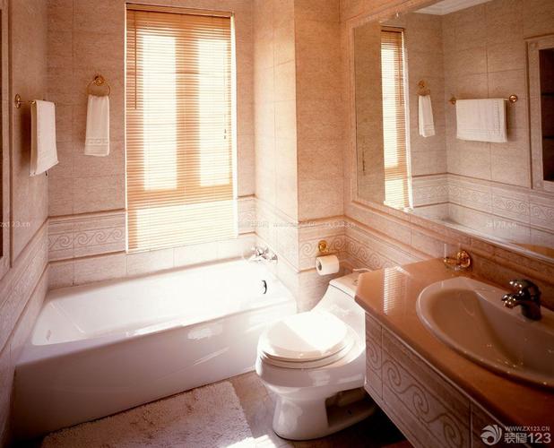 欧式浴室家庭室内装修样板房图片装修123效果图