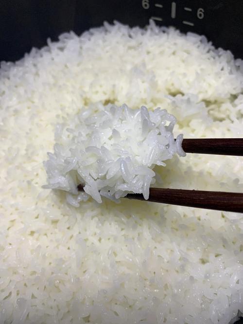 五常大米的煮饭秘籍