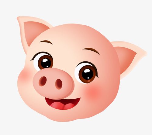 卡通手绘2019年可爱动物猪