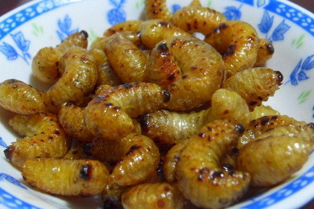 p炒香虫是一道以大马蜂为主要食材制作的美食.