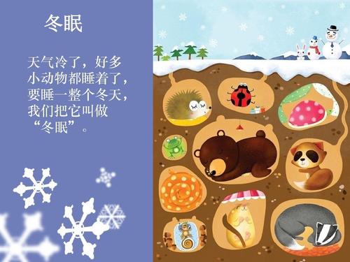 冬眠动物卡通图片 冬眠动物卡通图片简笔画