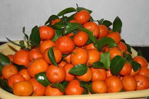 砂糖橘怎么挑选大的好还是小的好牢记4招容易买到质量好的