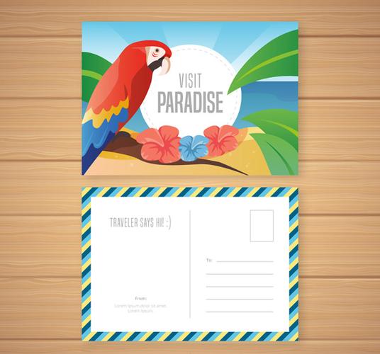 矢量名片卡片所需点数0点关键词创意热带金刚鹦鹉明信片正反面柿靠