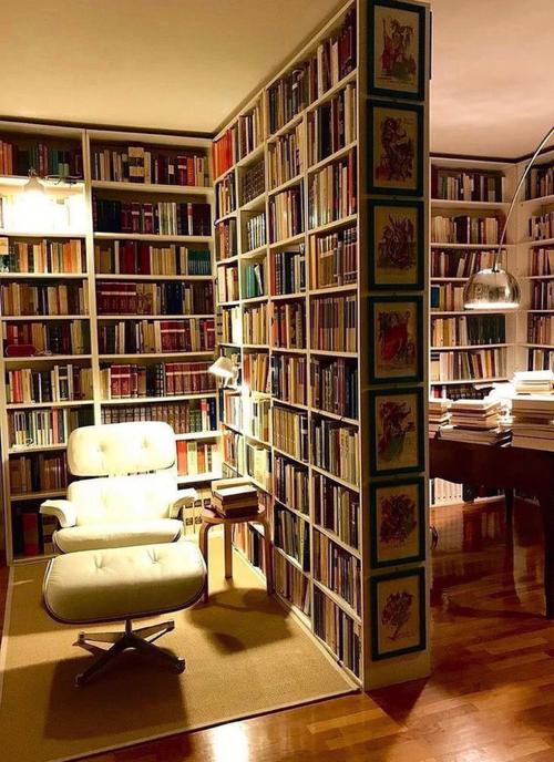 尽可能地分享更多不一样的书柜书架设计家居新趋势