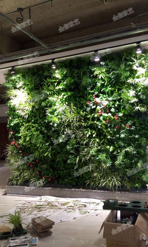 植物墙图片绿植墙案例植物墙案例植物墙设计