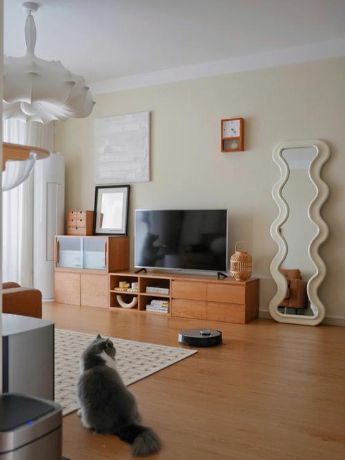 客厅布置小户型原木风电视背景墙收纳空间