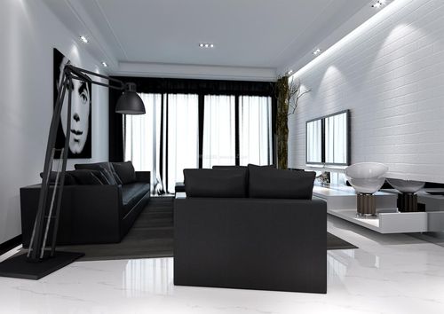 简约客厅黑白装饰设计效果图