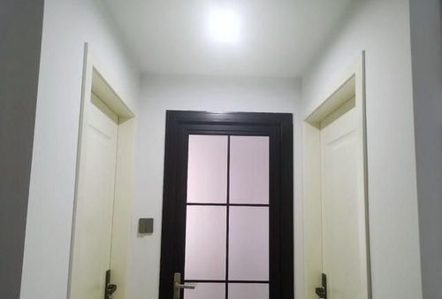 除了卫生间门不一样其他房间门都是白色的.
