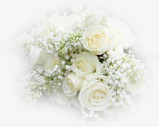 白色玫瑰花背景装饰