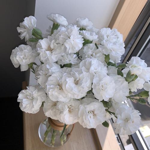 这段时间买的两捧花超级好看的白色康乃馨和五颜六色的花