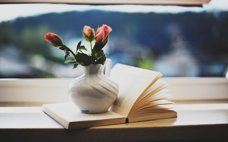 一个人的时光心情札记唯美安静花朵房间书窗台