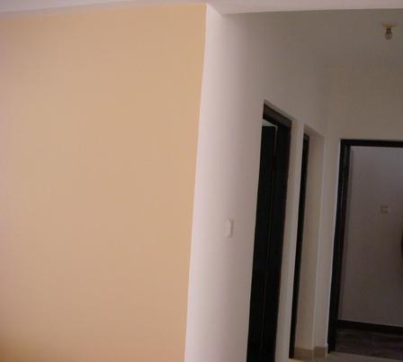 墙面漆即面漆也就是人们常说的乳胶漆是家庭装修中用于墙面的忠要