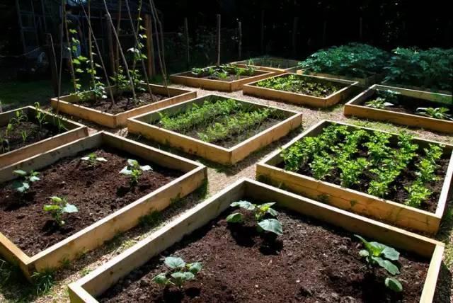 当美感遇上质朴重新定义可食用景观花园也可变菜园