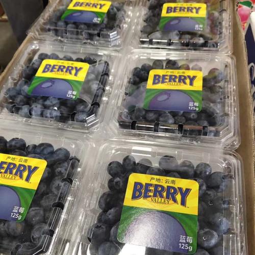 蓝莓整箱蓝梅国产水果当季12盒鲜果莓副怡颗蓝莓