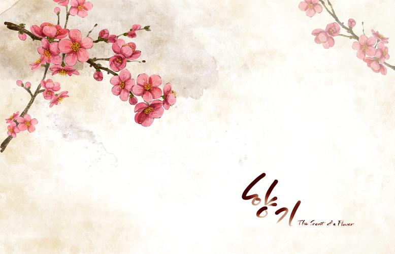 温馨粉色韩国花朵背景图片粉色背景韩国花朵
