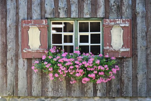 陈旧的木窗与花