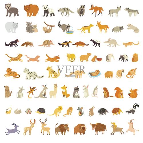 世界上的哺乳动物特大型动物套装设计元素图片