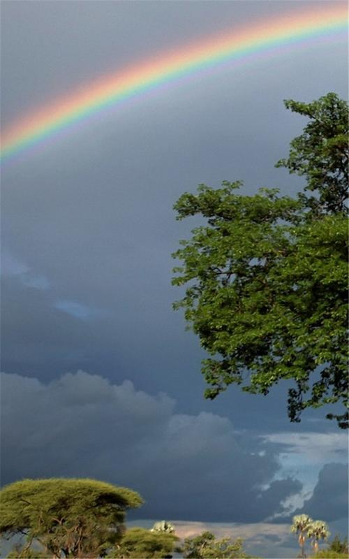 梦幻的清新雨后彩虹唯美图片手机壁纸